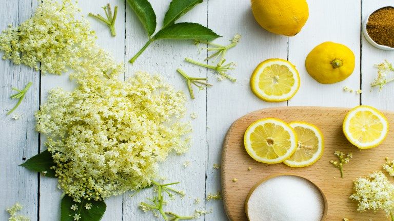 Bodzaszörp készítése