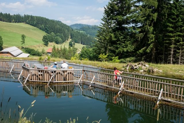 brundlweg ausztria stajerorszag