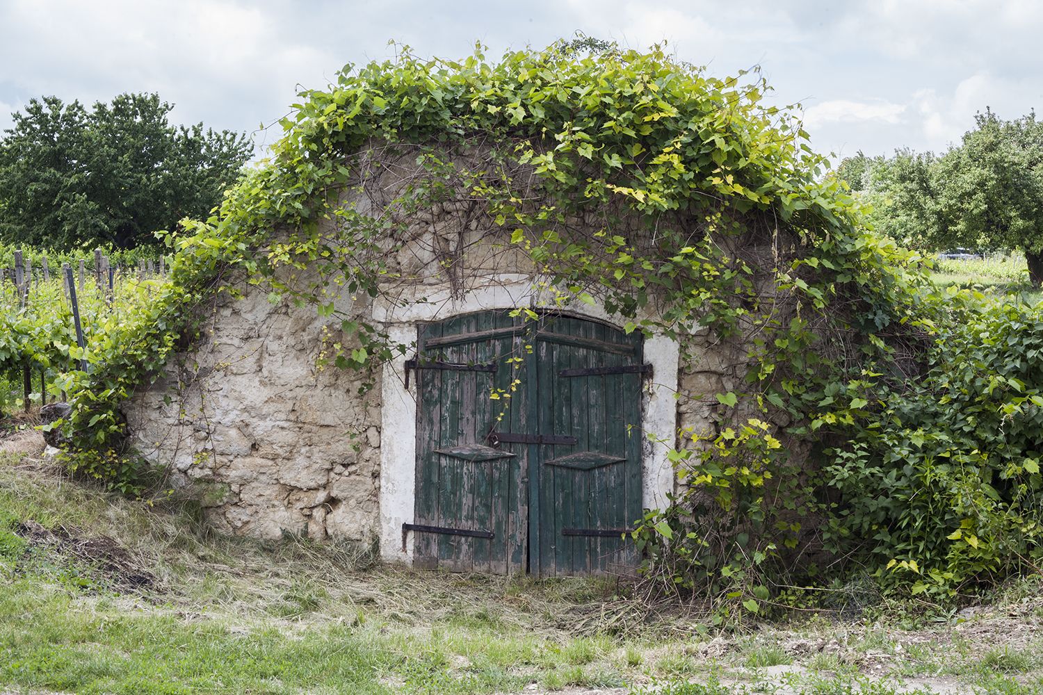Etyek - Fotó: Czvitkovits Judit