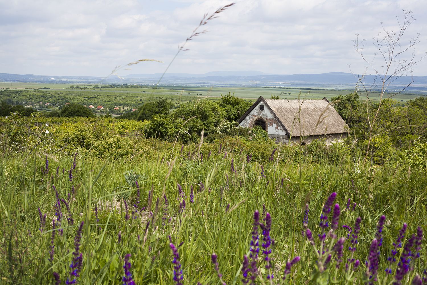 Etyek - Fotó: Czvitkovits Judit