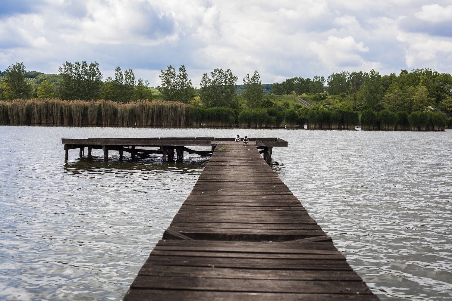 Etyek - Fotó: Czvitkovits Judit