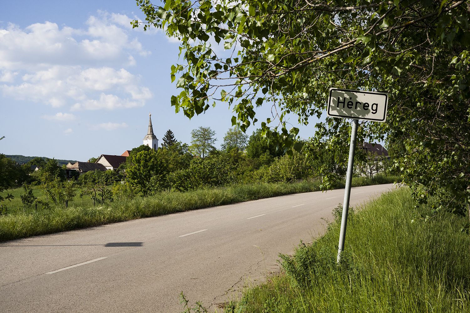 Héreg - Fotó: Czvitkovits Judit