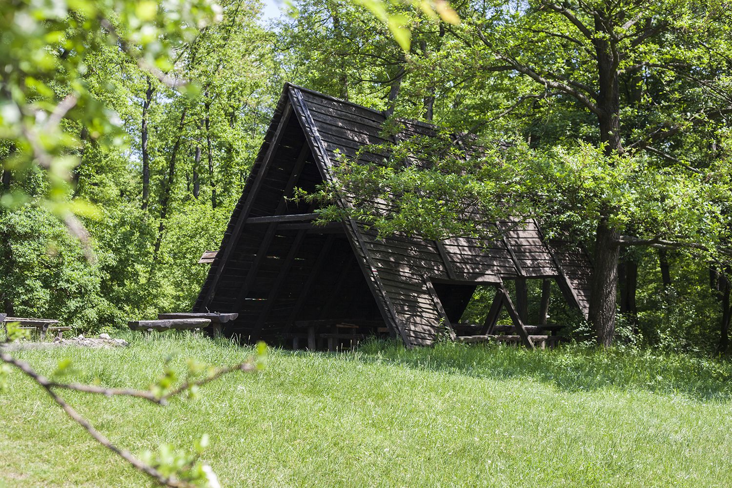 Héreg - Fotók: Czvitkovits Judit