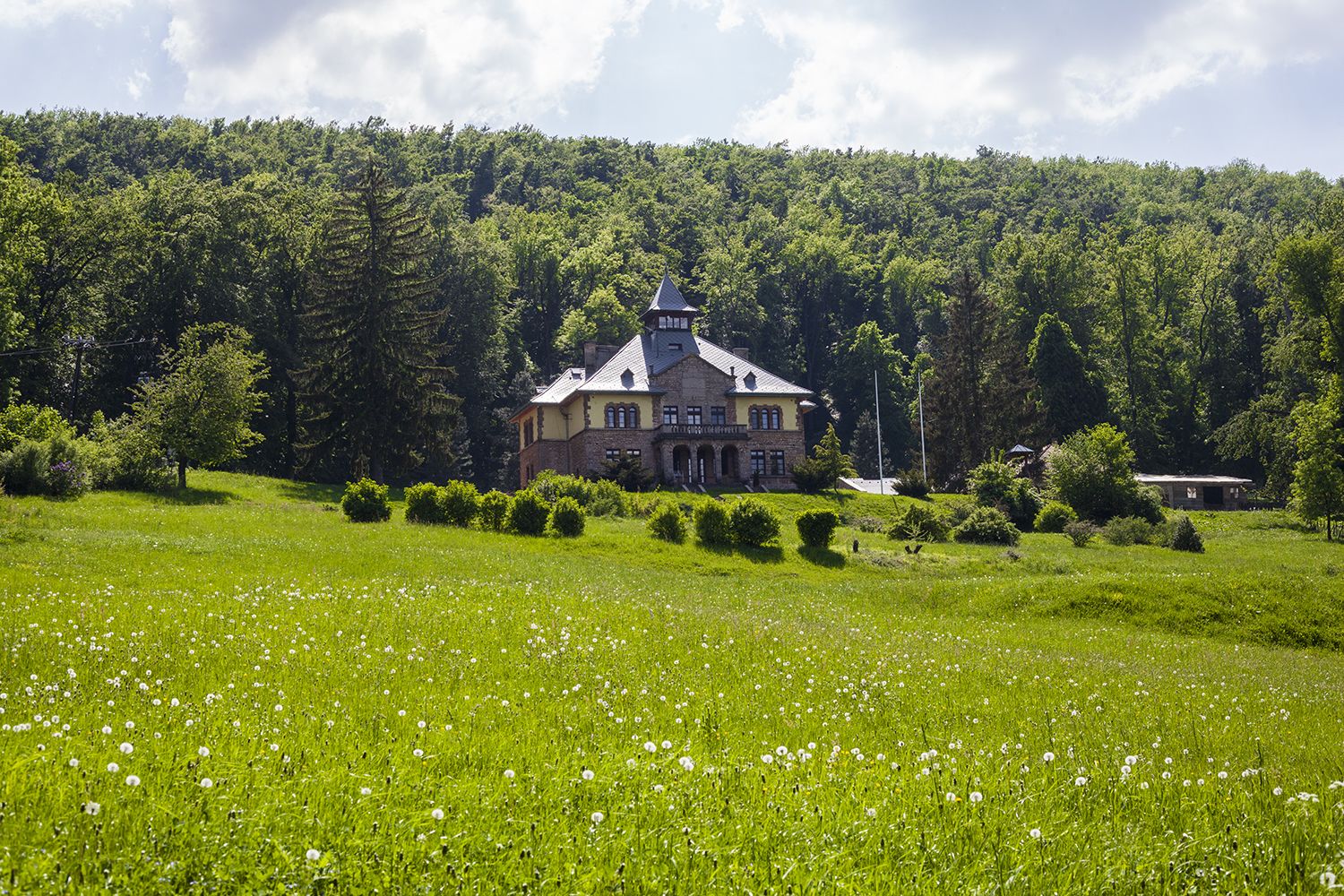 Héreg - Fotó: Czvitkovits Judit