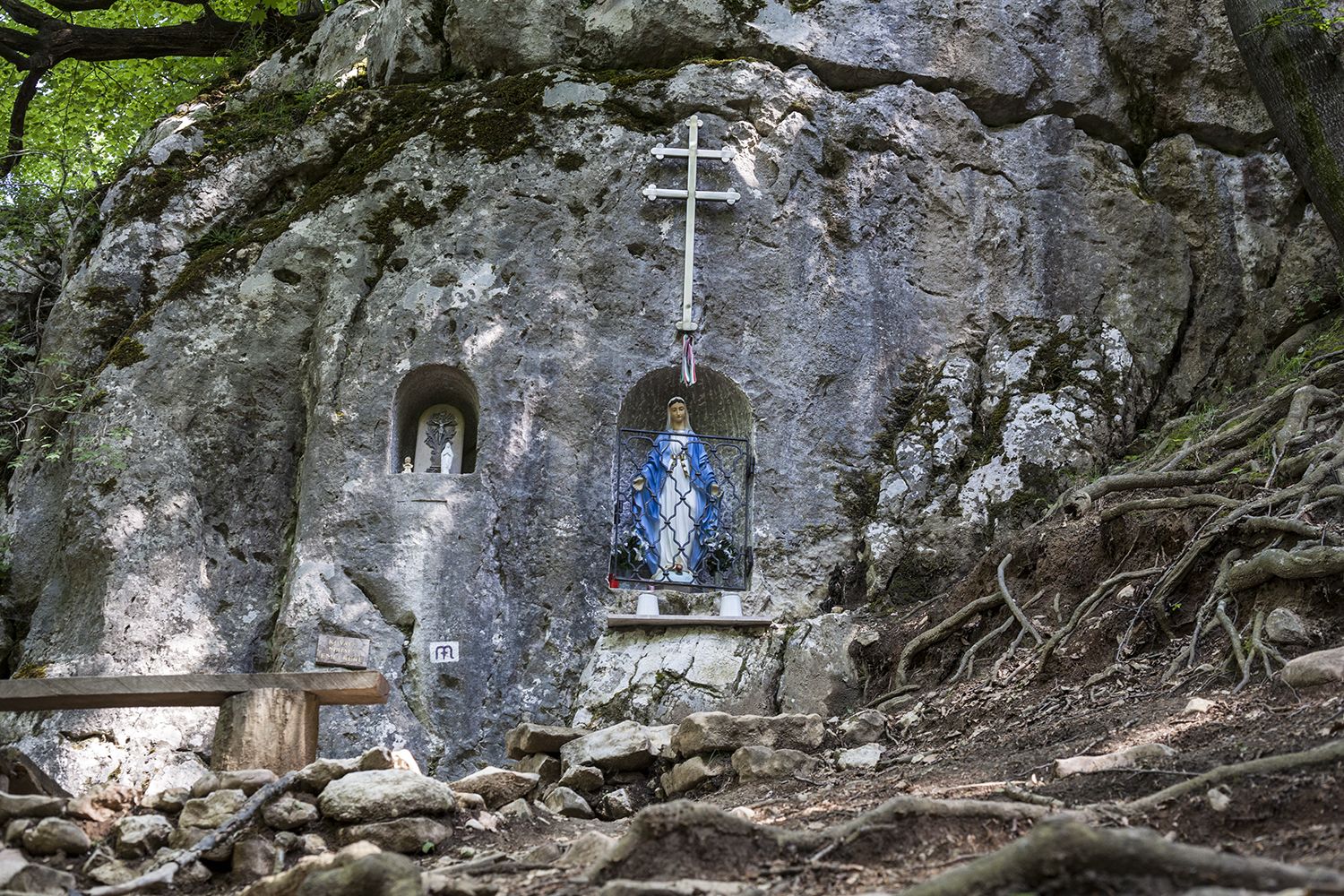 Héreg - Fotó: Czvitkovits Judit