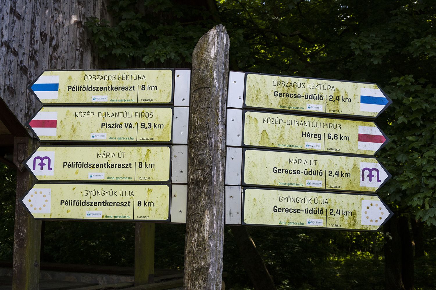 Héreg - Fotó: Czvitkovits Judit