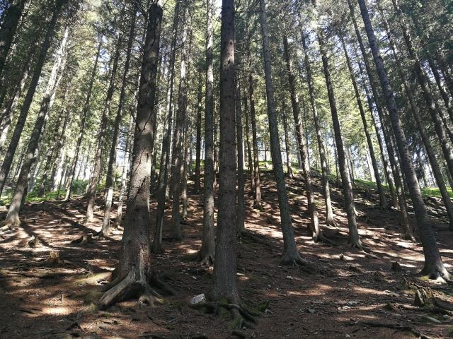 stajerorszag ausztria