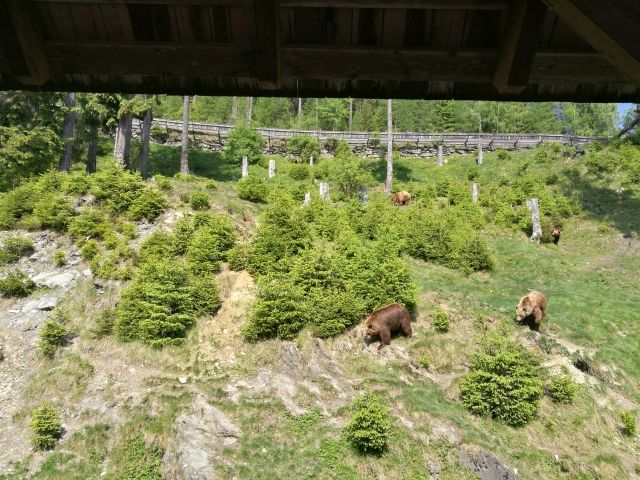 stajerorszag ausztria