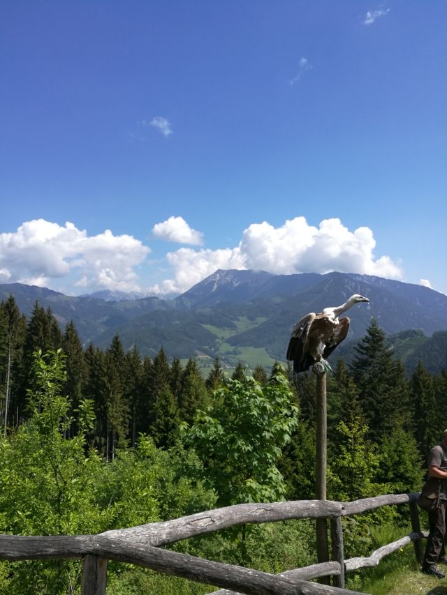 stajerorszag ausztria