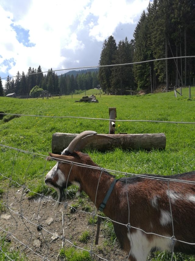 stajerorszag ausztria