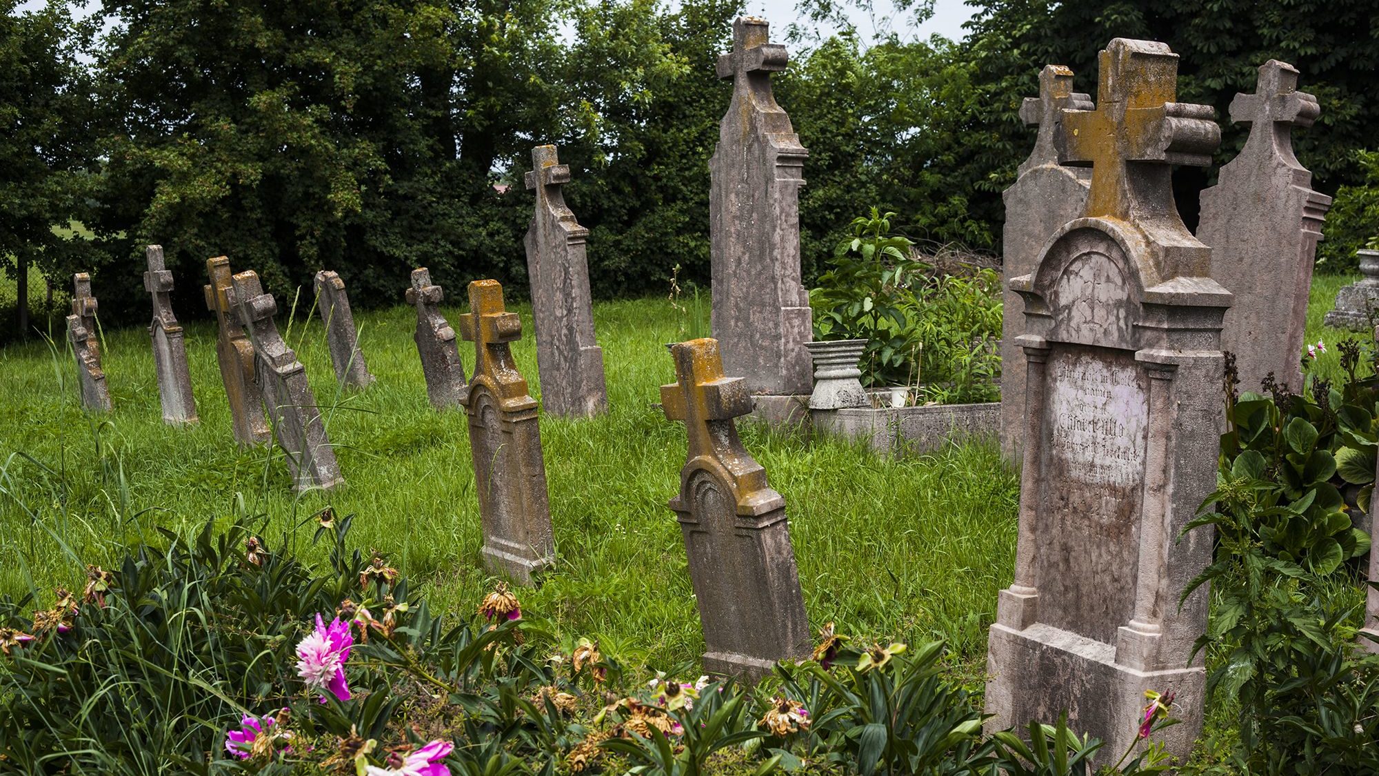 Vértestolna - temető - Fotó: Czvitkovits Judit