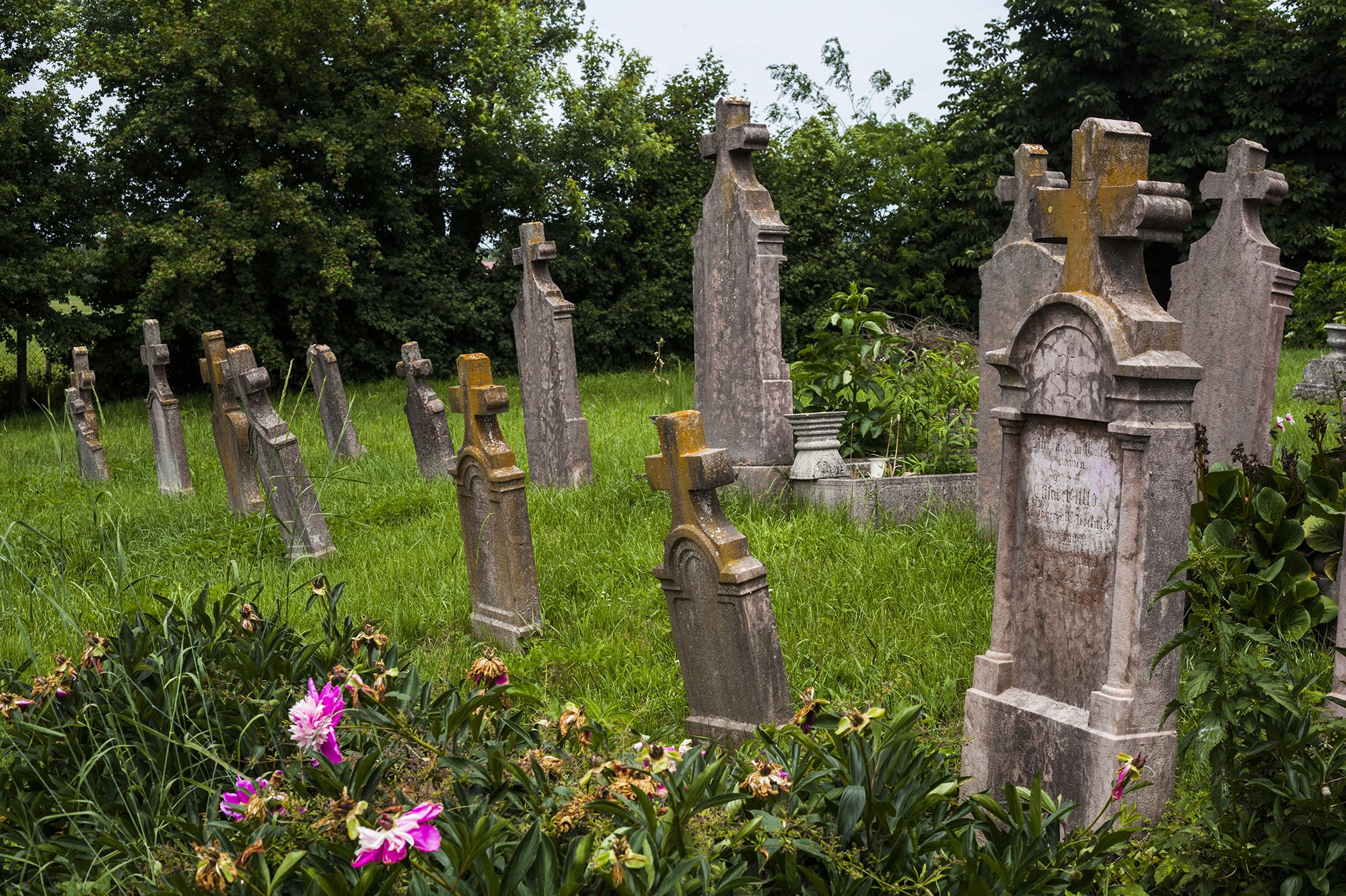 Vértestolna - temető - Fotó: Czvitkovits Judit