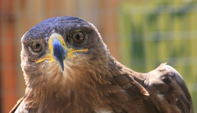 stajerorszag ausztria