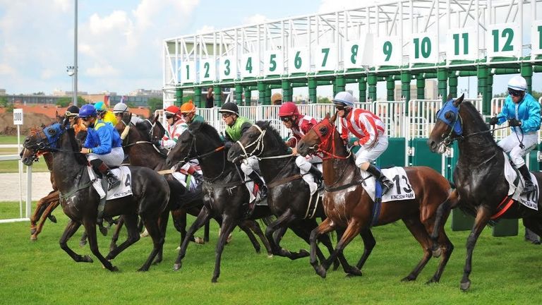 lóverseny (forrás: Kincsem Nemzeti Kft.)