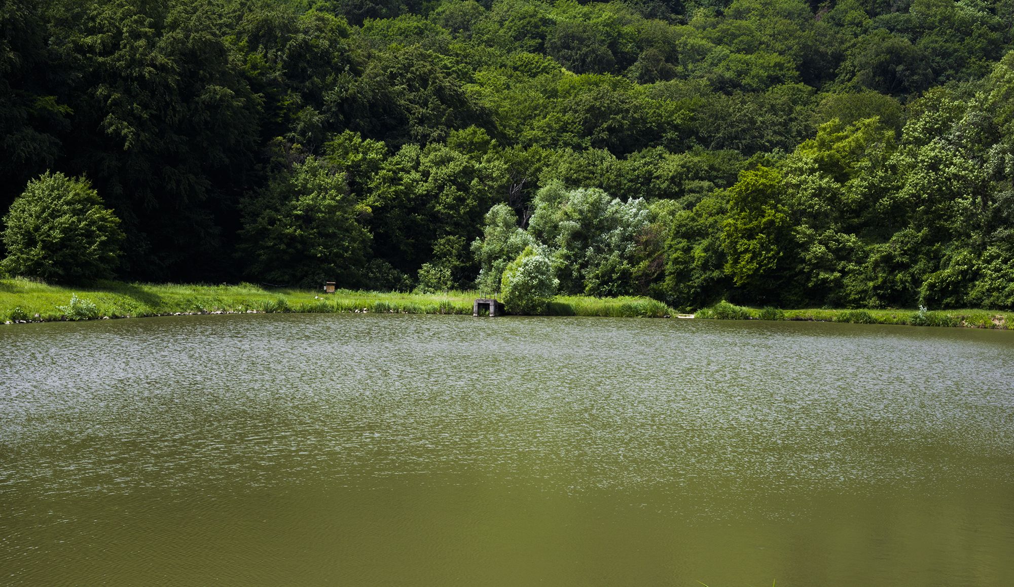 Tardos tanösvény - fotó: Czvitkovits Judit