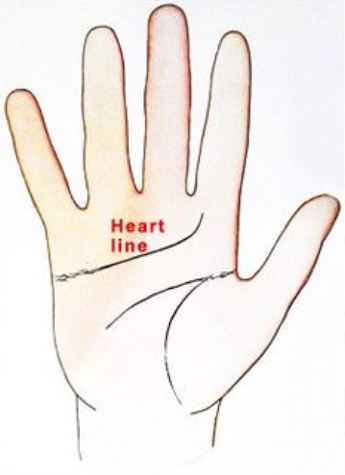 tenyérjóslás szívvonal V betű