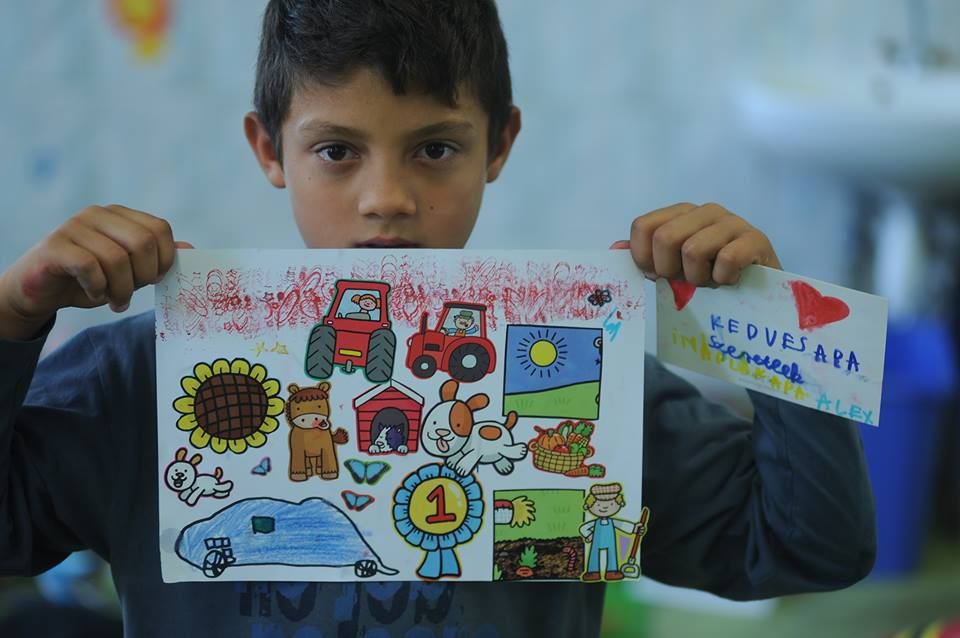 Fotó: Tévelygőkért Alapítvány/Facebook