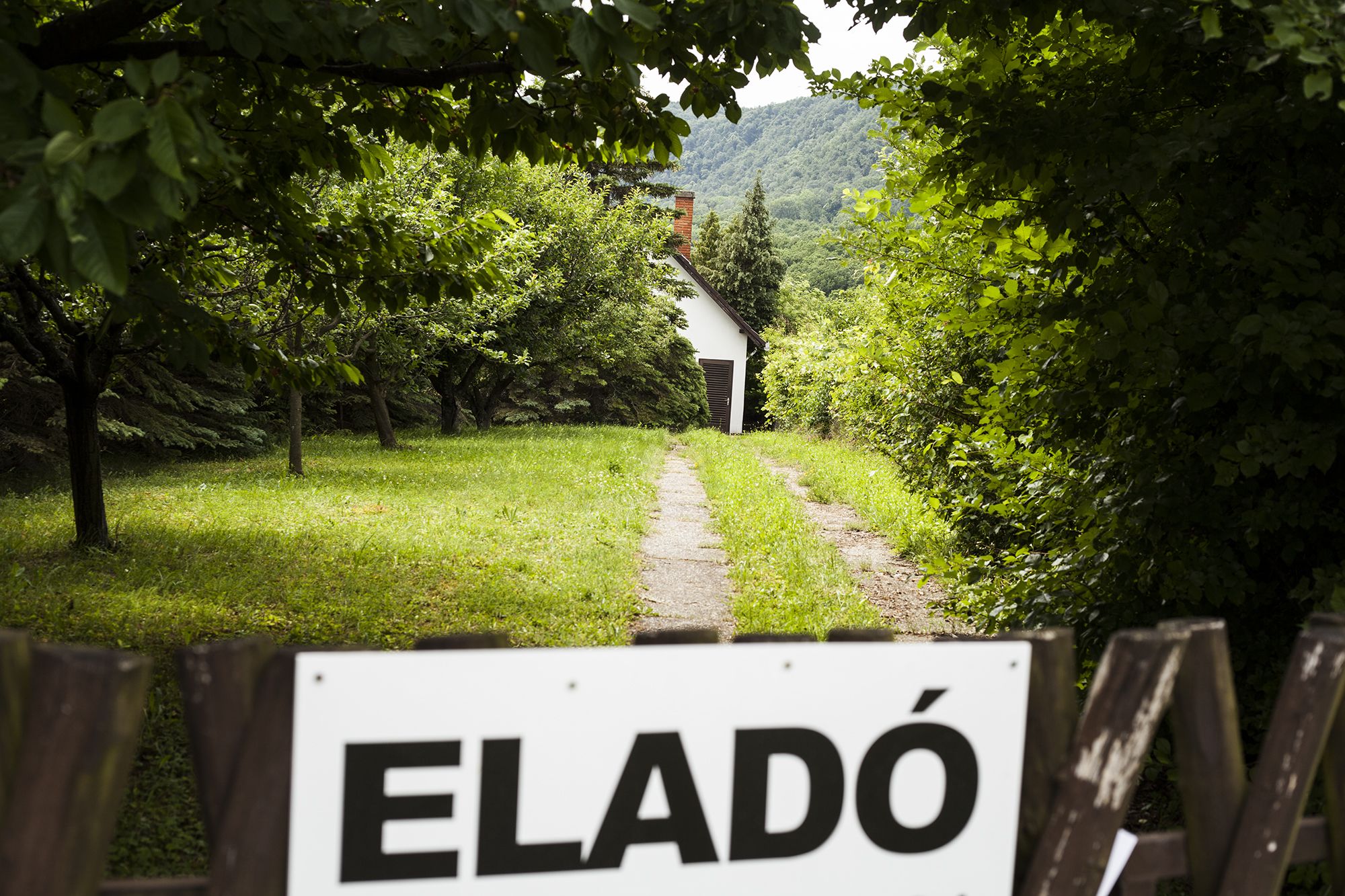 Vértestolna - Fotó: Czvitkovits Judit