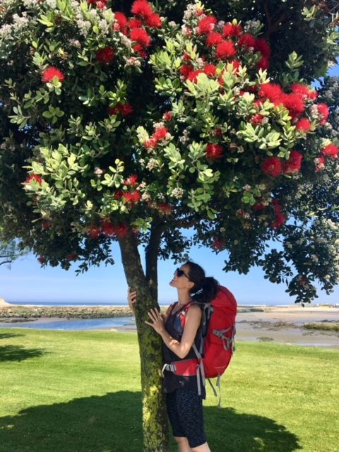 el camino, protugalia