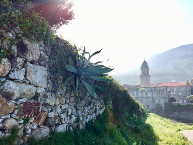 nagy nora, portugalia, el camino