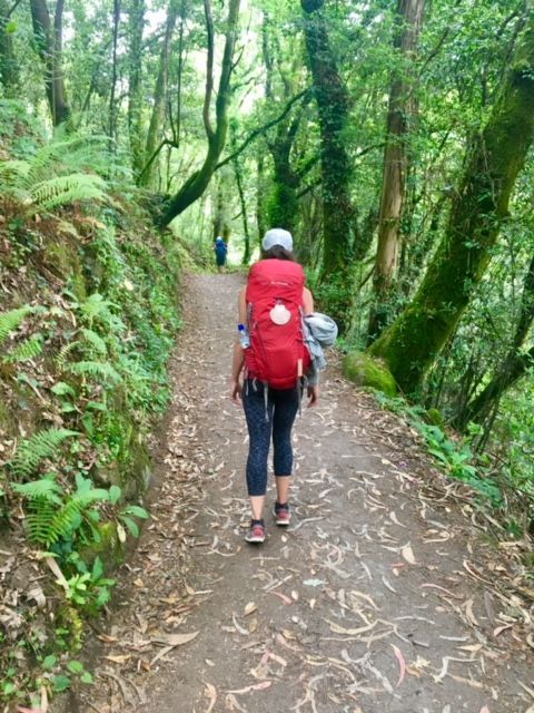 el camino, portugalia