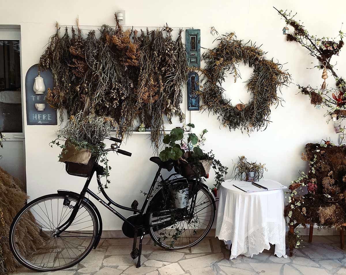 „Nem, dehogy, mi nem esszük meg a szamarat” – Cipruson jártunk