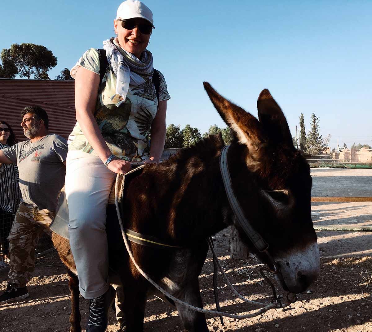 „Nem, dehogy, mi nem esszük meg a szamarat” – Cipruson jártunk