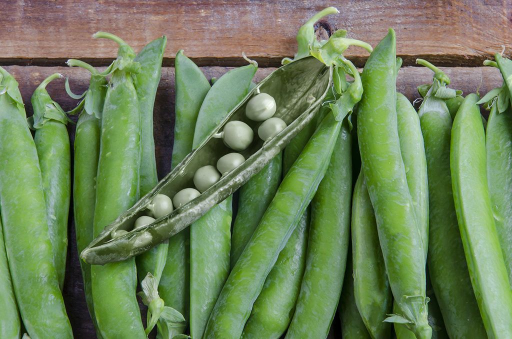 termékenység férfimeddőség sperma