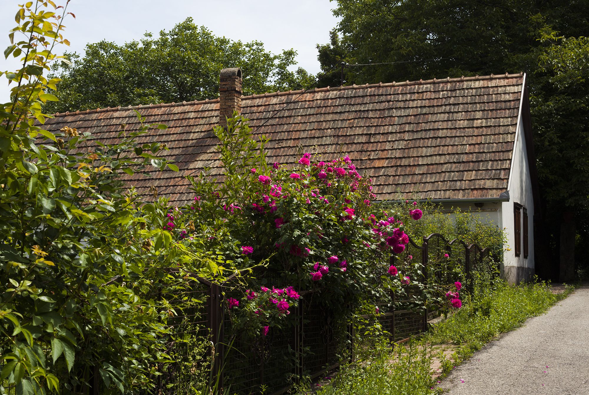 Vértestolna - Fotó: Czvitkovits Judit