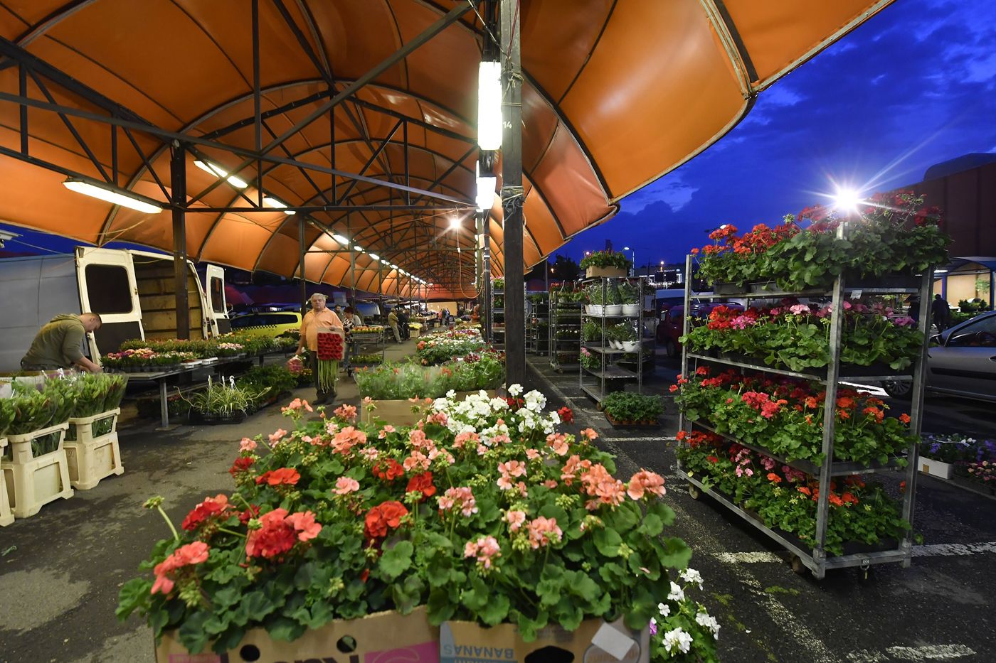 Fotó: Illyés Tibor/MTI