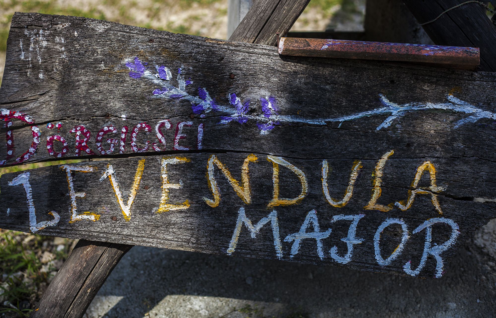 Dörgicse - Fotó: Czvitkovits Judit