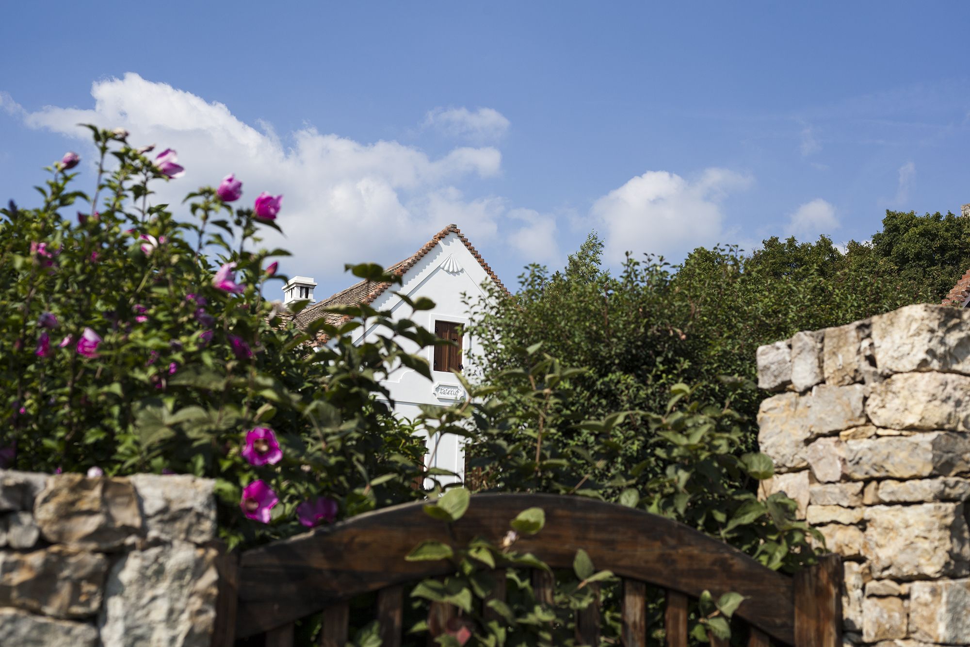 Dörgicse - Fotó: Czvitkovits Judit