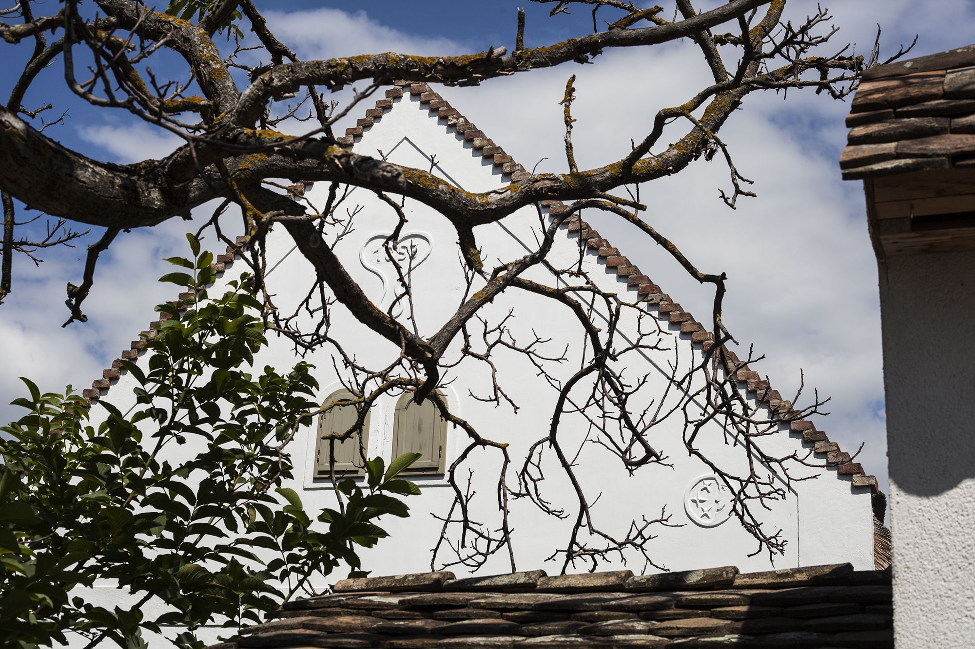 Dörgicse - Fotó: Czvitkovits Judit