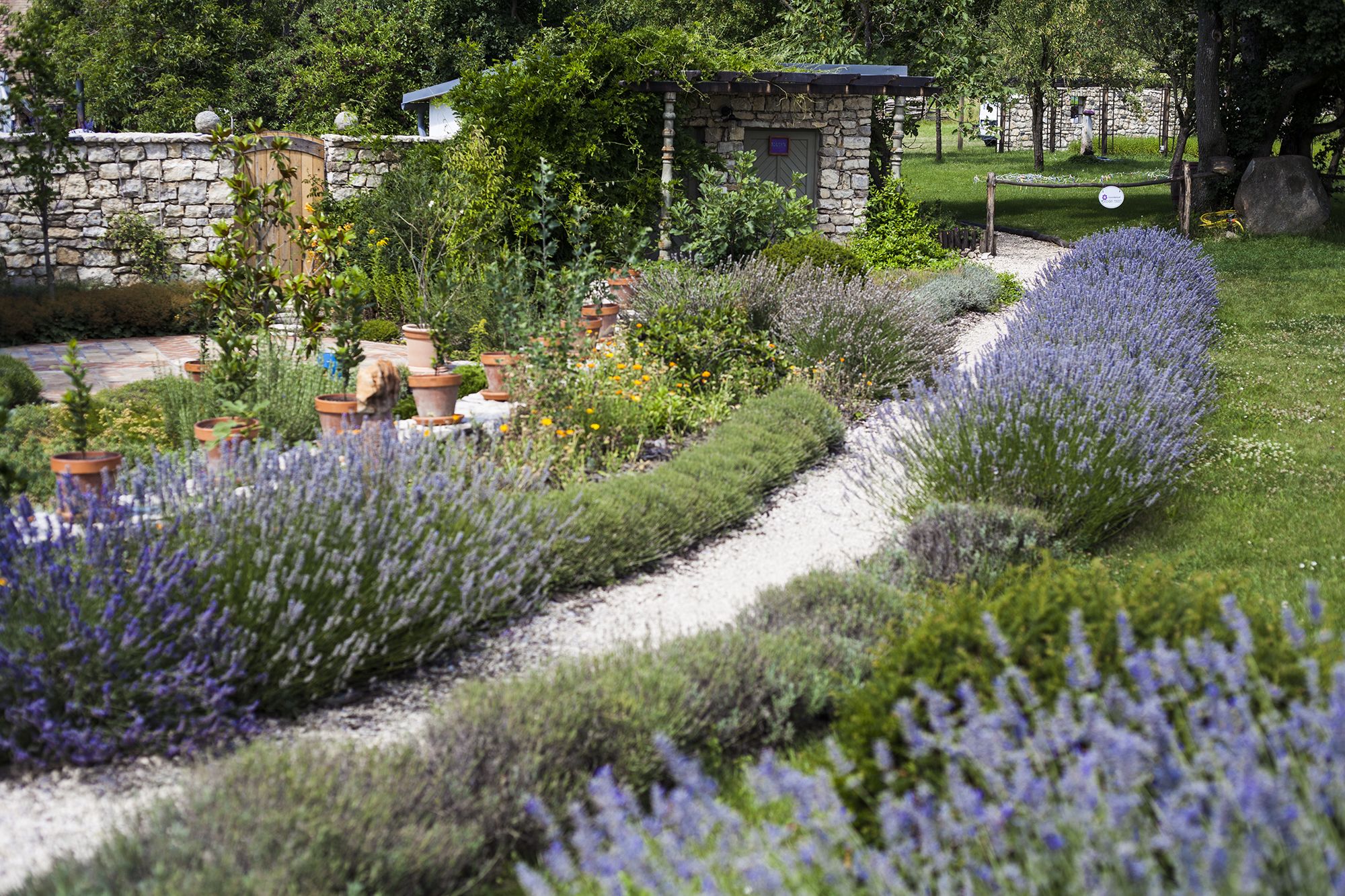 Dörgicse - Fotó: Czvitkovits Judit