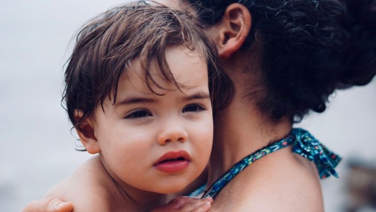 család államtitkár definíció