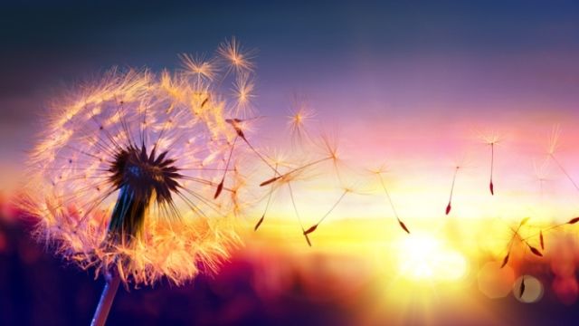 napi horoszkóp július 12.