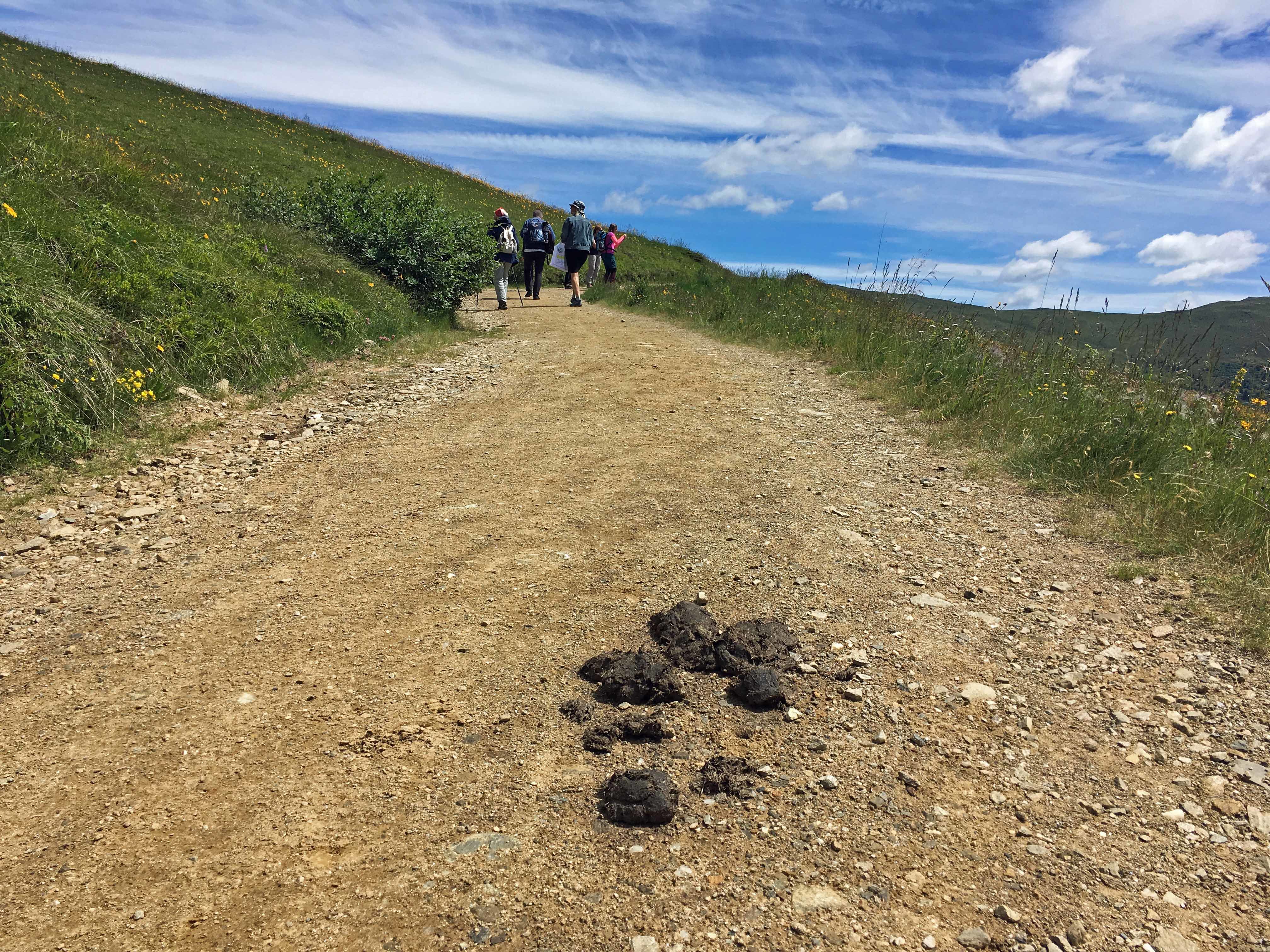 Gyöngyöző homlokkal mész végig a szerelem útján – az Alpokban jártunk, a Millstatti-tó felett