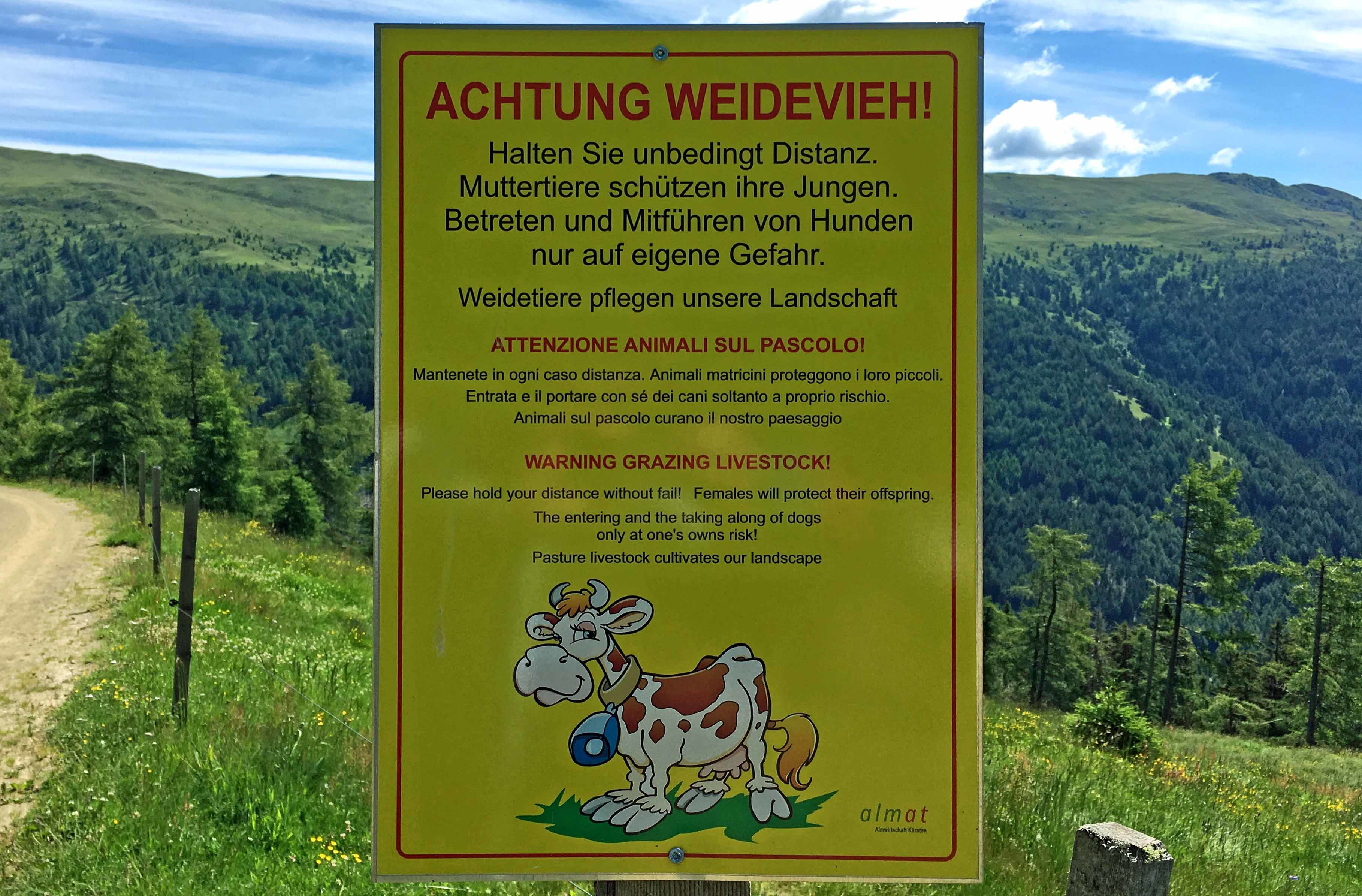 Gyöngyöző homlokkal mész végig a szerelem útján – az Alpokban jártunk, a Millstatti-tó felett