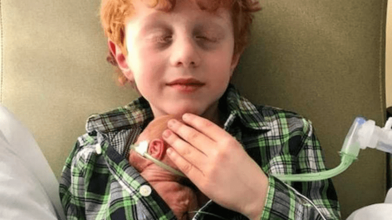 testvér megható fotó