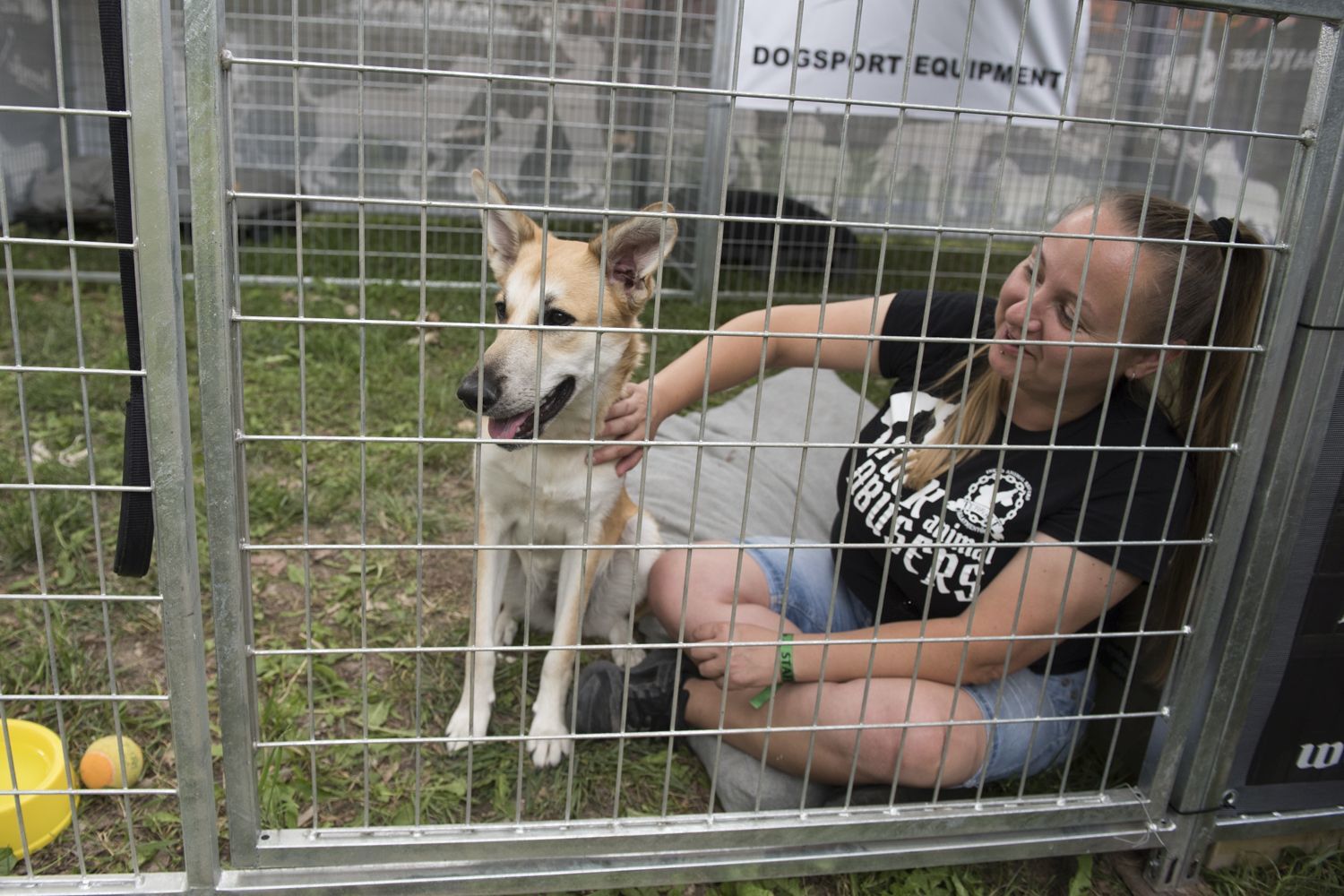 Tetovált Állatmentők