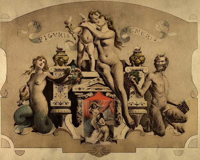 A De figuris Veneris borítója