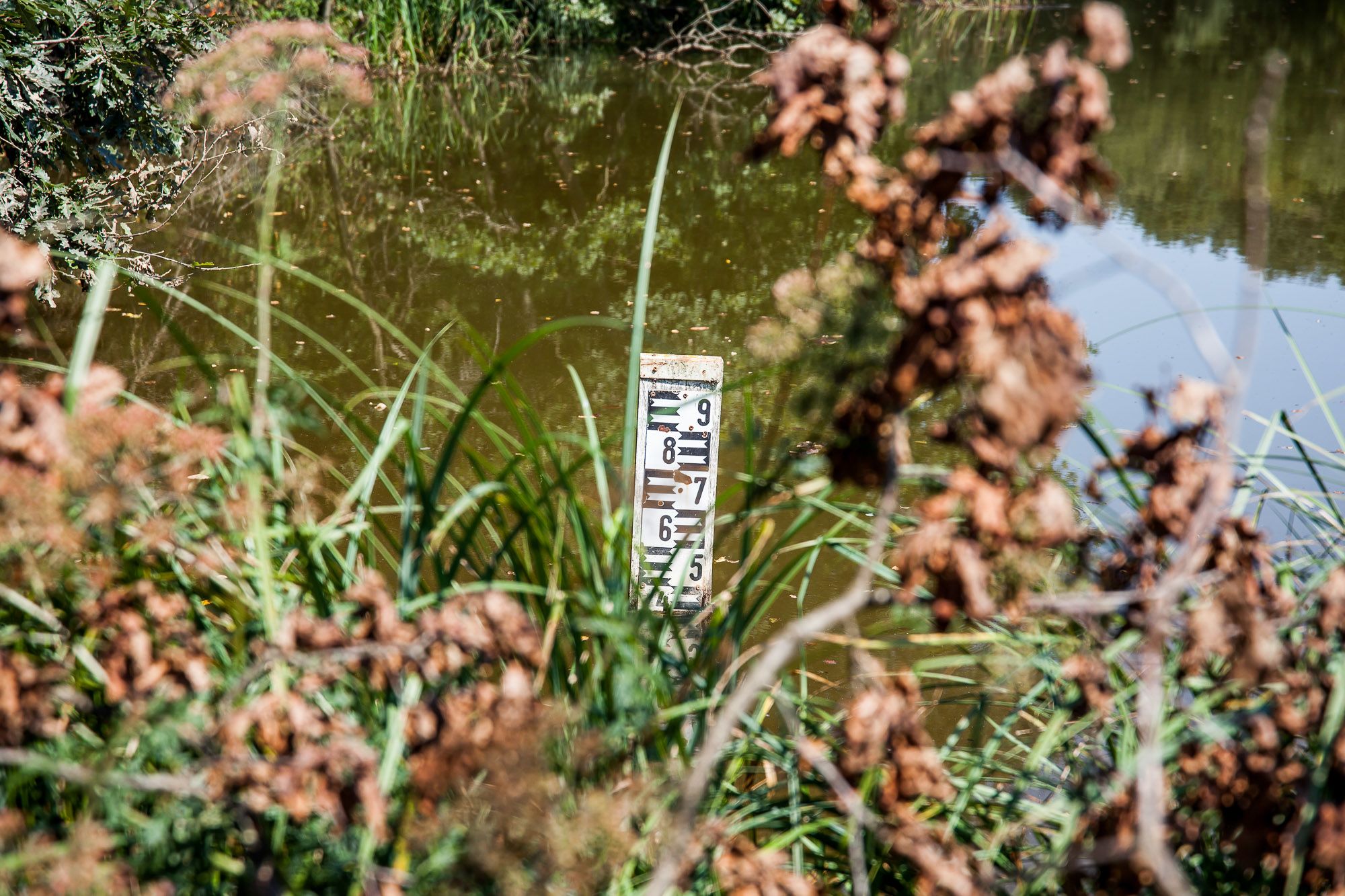 Vadása-tó - Fotó: Czvitkovits Judit