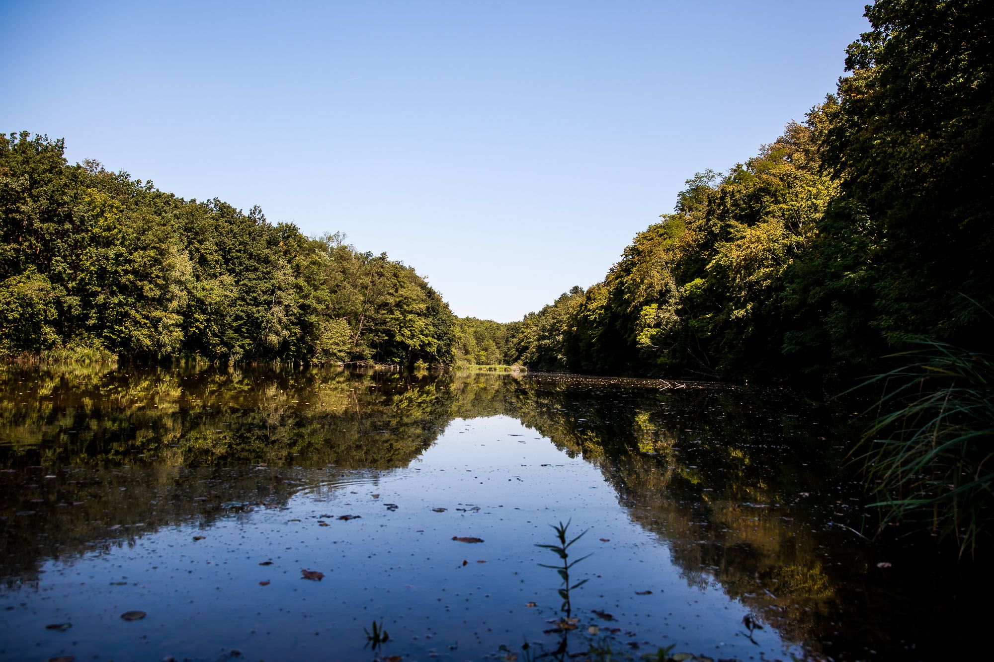 Vadása-tó - Fotó: Czvitkovits Judit