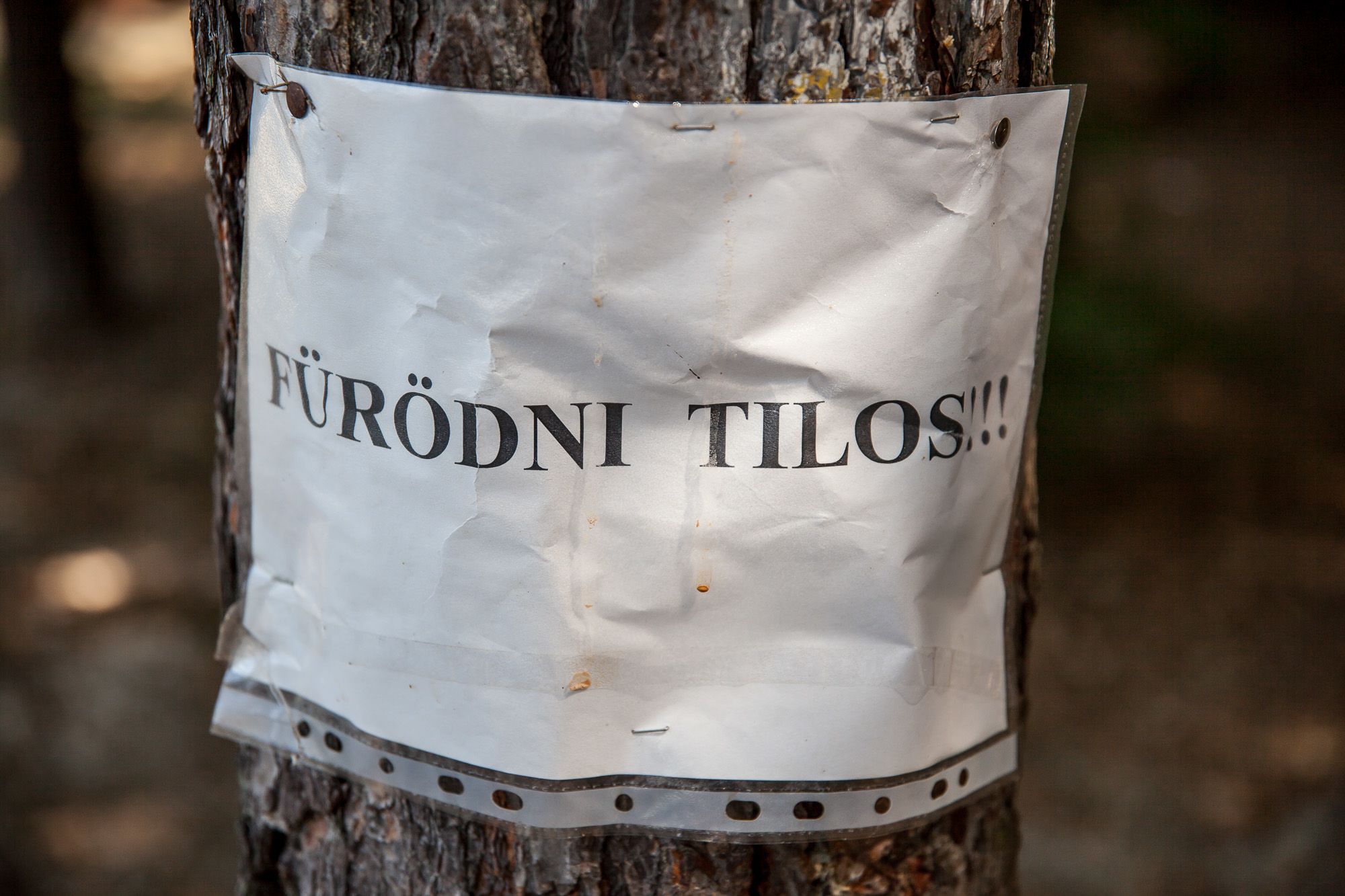 Borostyán-tó: az ország egyik legszebb kutyabarát strandja