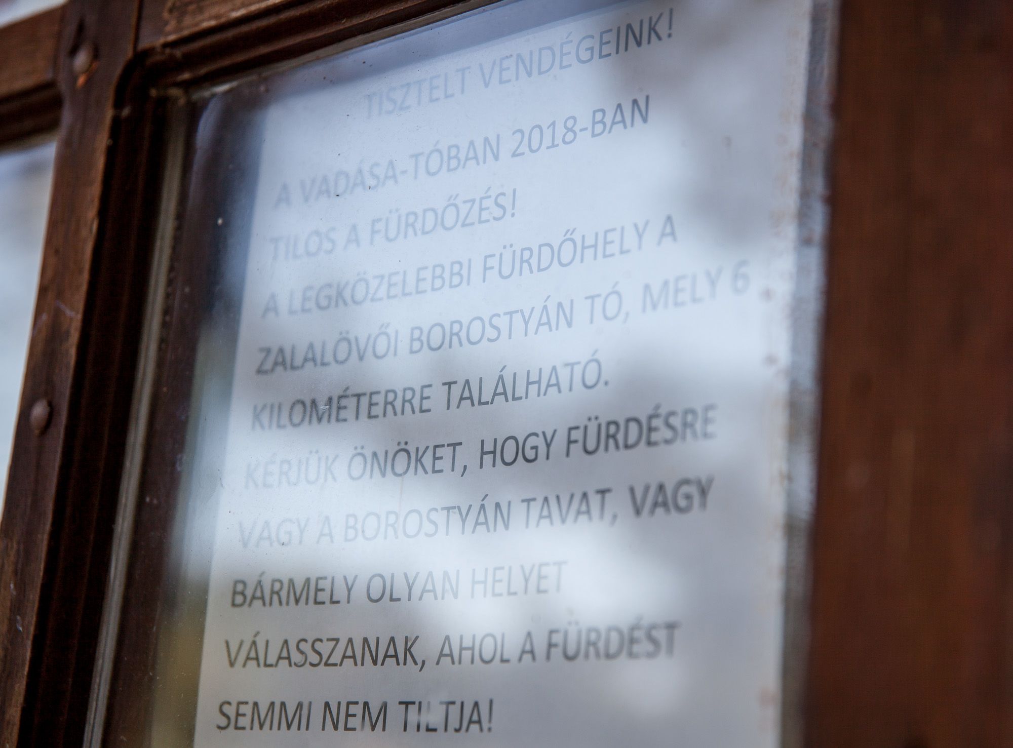 Borostyán-tó: az ország egyik legszebb kutyabarát strandja