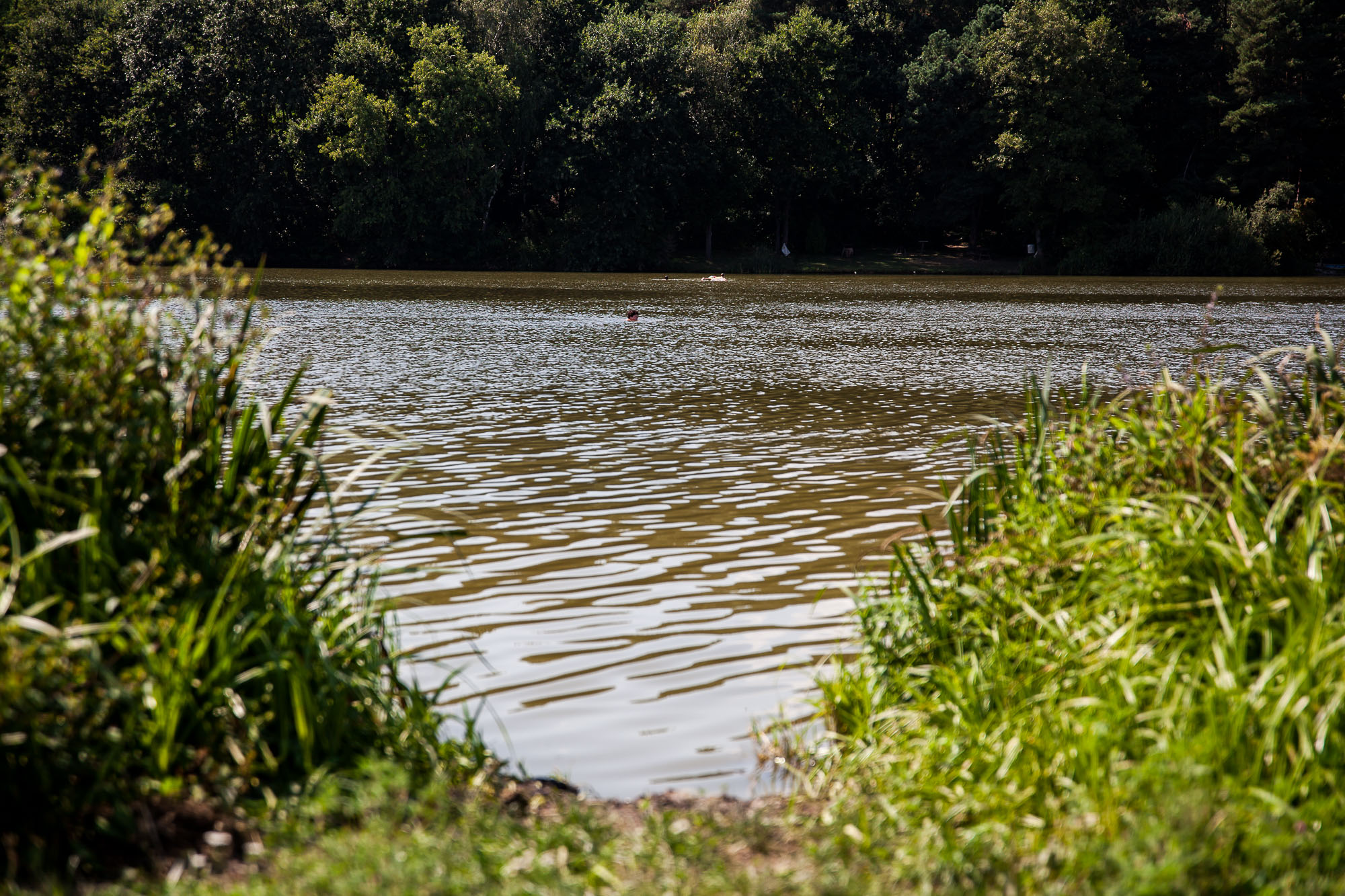 Zalalövő, Borostyán-tó Fotó: Czvitkovits Judit