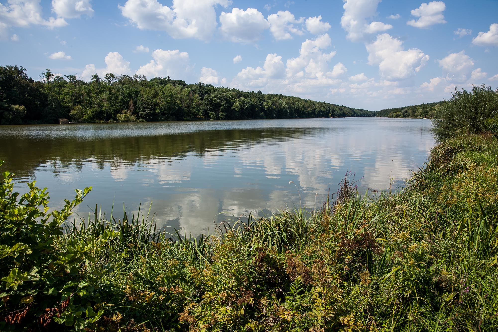 Zalalövő, Borostyán-tó - Fotó: Czvitkovits Judit
