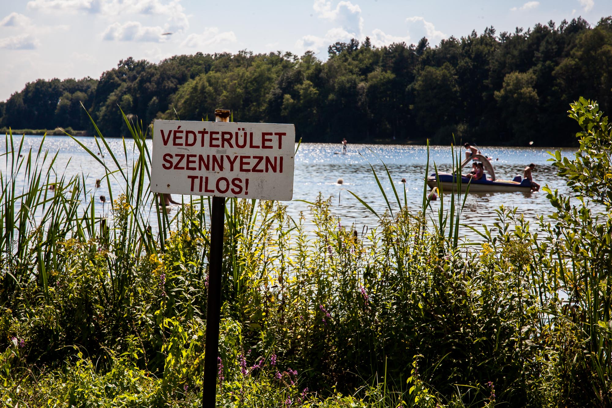 Borostyán-tó: az ország egyik legszebb kutyabarát strandja