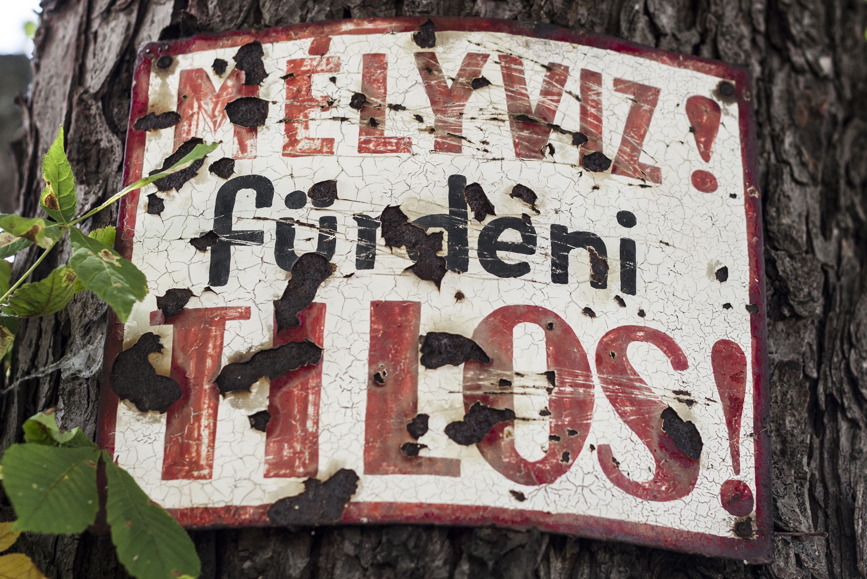 Sződliget - Fotó: Czvitkovits Judit