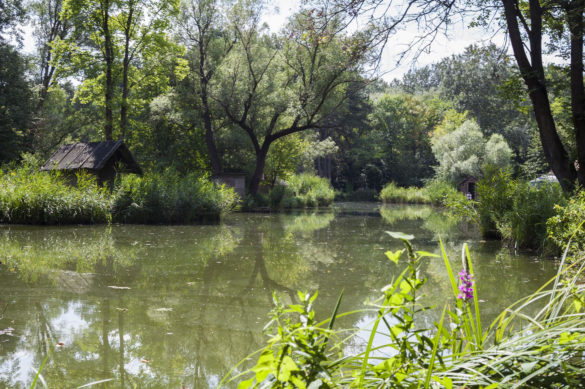 Sződliget - Fotó: Czvitkovits Judit